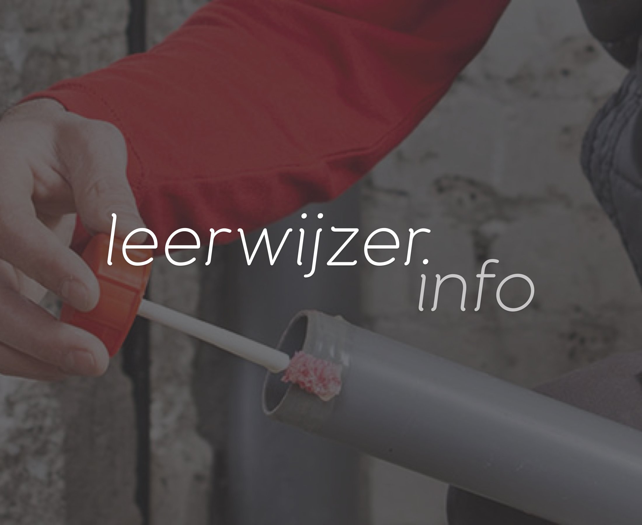 Buisbewerken