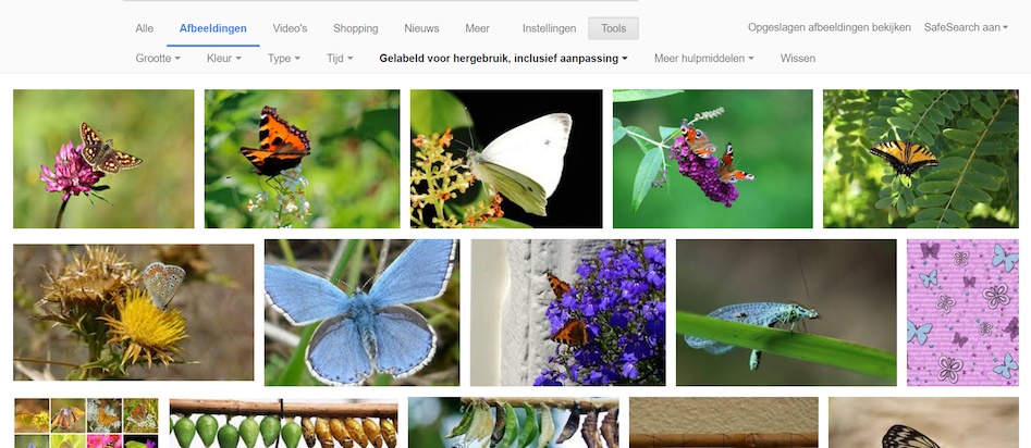 afbeeldingen-zoeken-op-het-internet-en-gebruiken-in-learnbeat