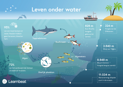 educatieve poster biologie leven onder water
